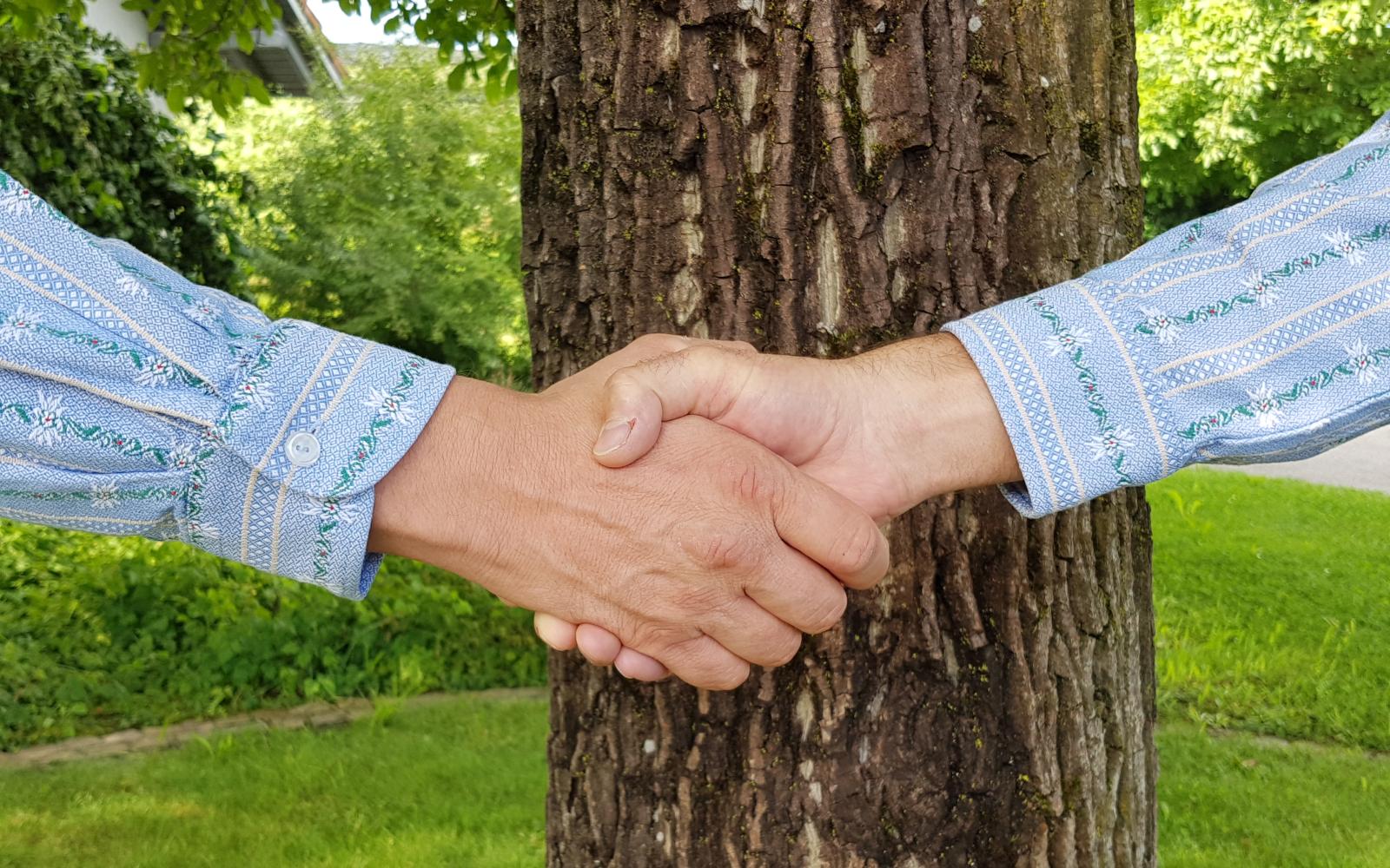 shake hands